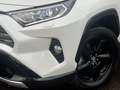 Toyota RAV 4 2.5 Hybrid Bi-Tone CVT-automaat Trekhaak, Voorruit Wit - thumbnail 2
