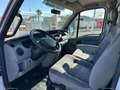 Renault Mascott MASCOTT 120.35 3.0CC CENTINATO TELONATO TELONATO C Bianco - thumbnail 15