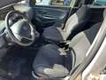 Lancia Ypsilon 1.2 69 CV 5 porte Gold Beige - thumbnail 10