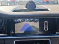 Porsche Panamera 4S Sport-Chrono|Pano|PDLS+|ACC|Bose|AHK Grau - thumbnail 19