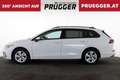 Volkswagen Golf Variant 2,0 TDI LIFE AHV LED VIRTUAL SPORTSITZE Weiß - thumbnail 8