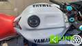 Yamaha YZF-R1 ISCRITTA ASI perfetta Bianco - thumbnail 15