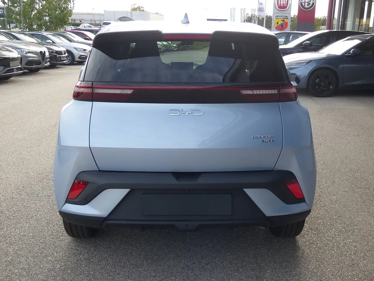 BYD DOLPHIN SURF