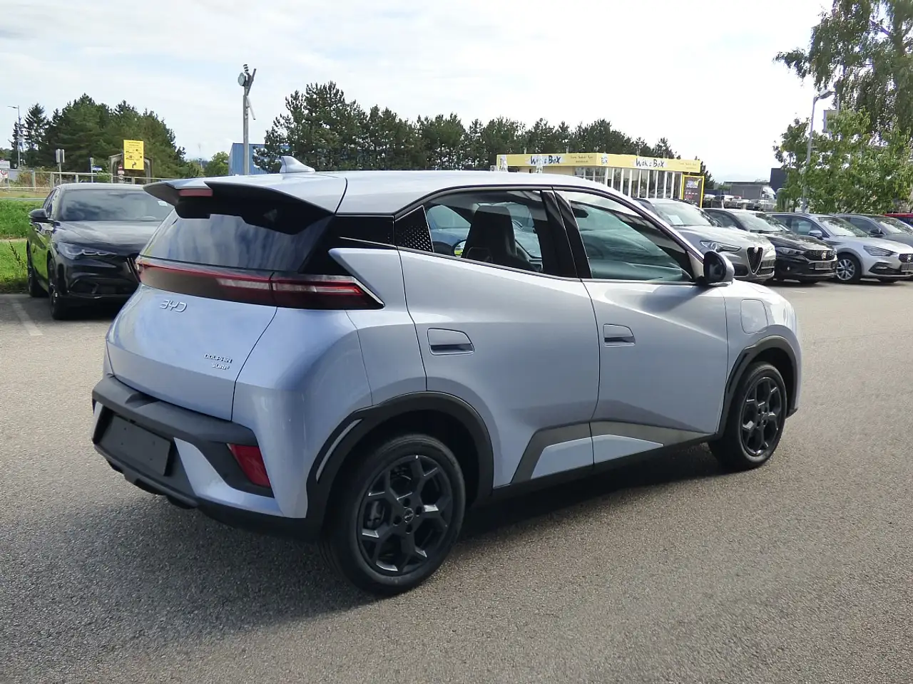 BYD DOLPHIN SURF