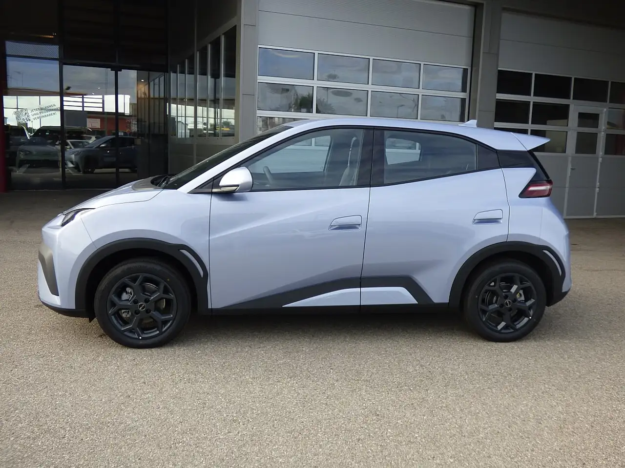 BYD DOLPHIN SURF