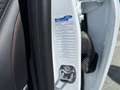 Ford Puma Puma II 2020 1.5 ecoblue ST-Line X Bianco - thumbnail 8