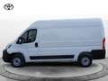 Toyota Proace Max Proace Max 35 2.2 BlueHDi 140CV PM-TM Furgone Bianco - thumbnail 8