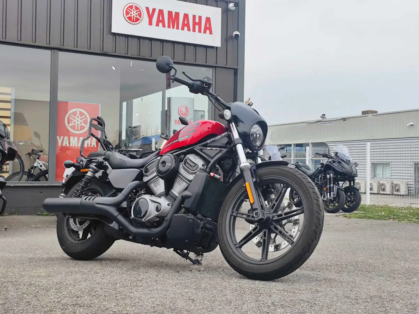 Harley-Davidson Sportster Rot - 2