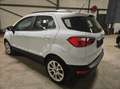Ford EcoSport ECOSPORT 1.0 EcoBoost TITANIUM Blanc - thumbnail 6