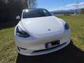 Tesla Model Y Model Y 2022 Long Range Dual Motor awd Bianco - thumbnail 1
