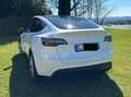 Tesla Model Y Model Y 2022 Long Range Dual Motor awd Bianco - thumbnail 6