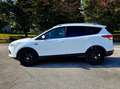 Ford Kuga Kuga II 2013 2.0 tdci Plus 4wd 140cv powershift Bianco - thumbnail 2