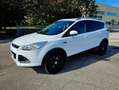 Ford Kuga Kuga II 2013 2.0 tdci Plus 4wd 140cv powershift Bianco - thumbnail 13