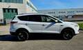 Ford Kuga Kuga II 2013 2.0 tdci Plus 4wd 140cv powershift Bianco - thumbnail 1