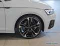 Audi A5 Sportback 40 TFSI 2x S line Matrix Navi Pano Weiß - thumbnail 3