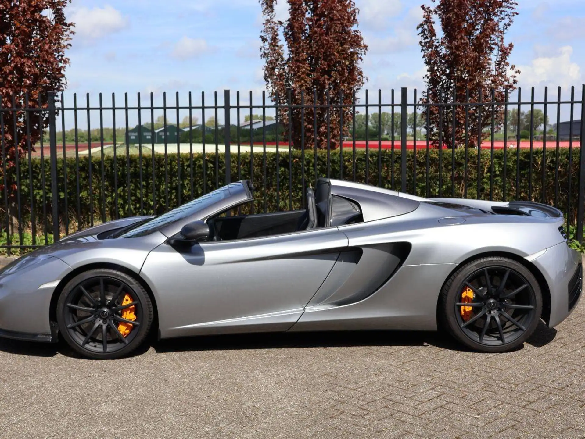 맥라렌 MP4-12C 12 C 2012 회색 사진 5