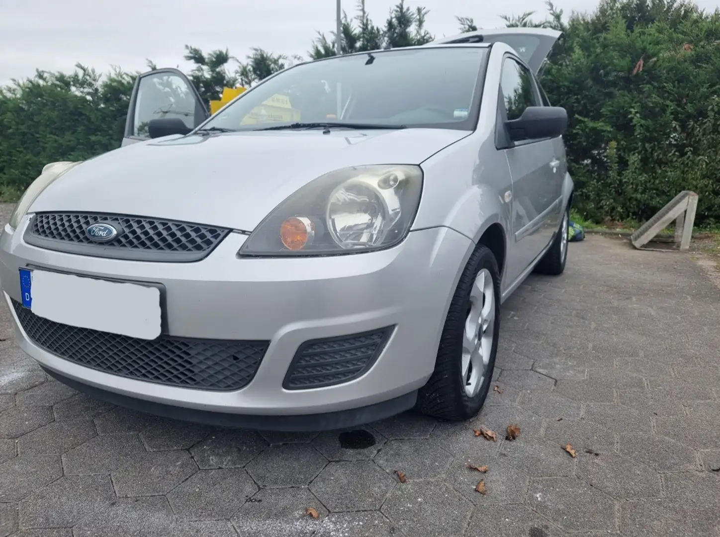 Ford Fiesta Style - 2