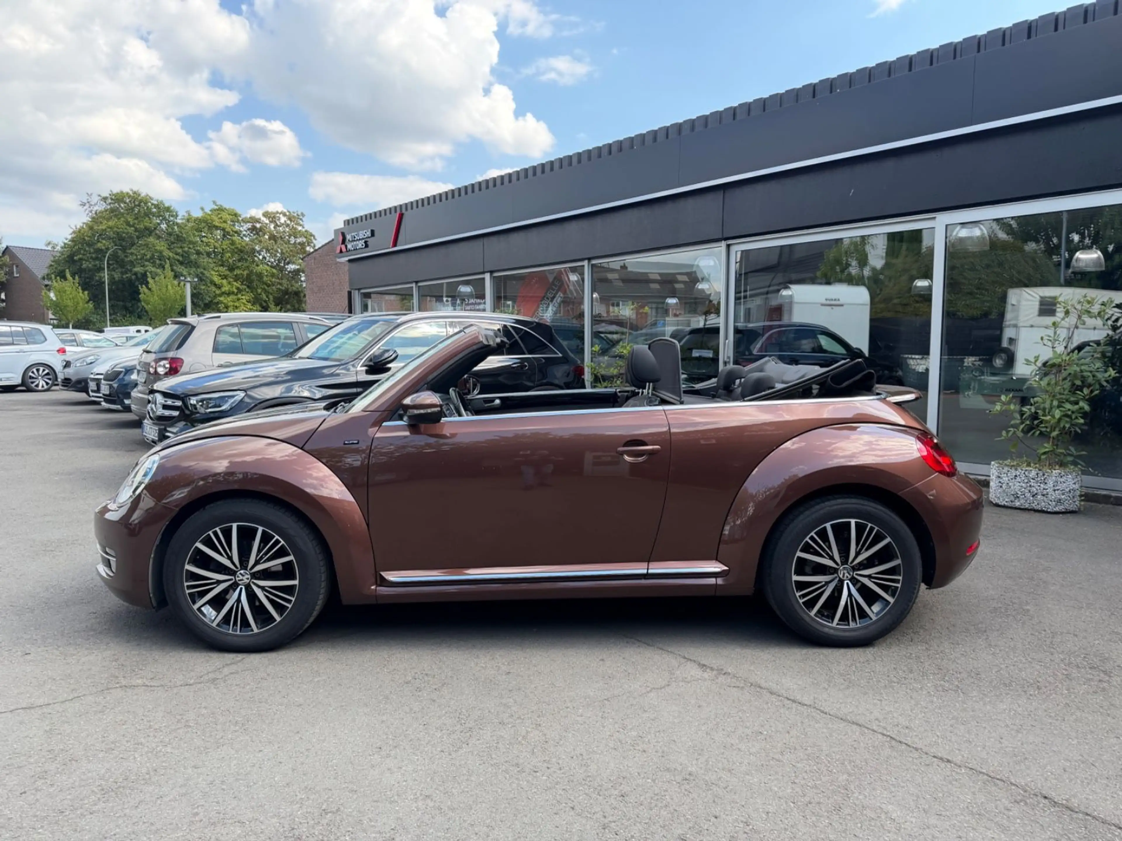 Volkswagen Beetle Cabriolet Allstar — photo 2