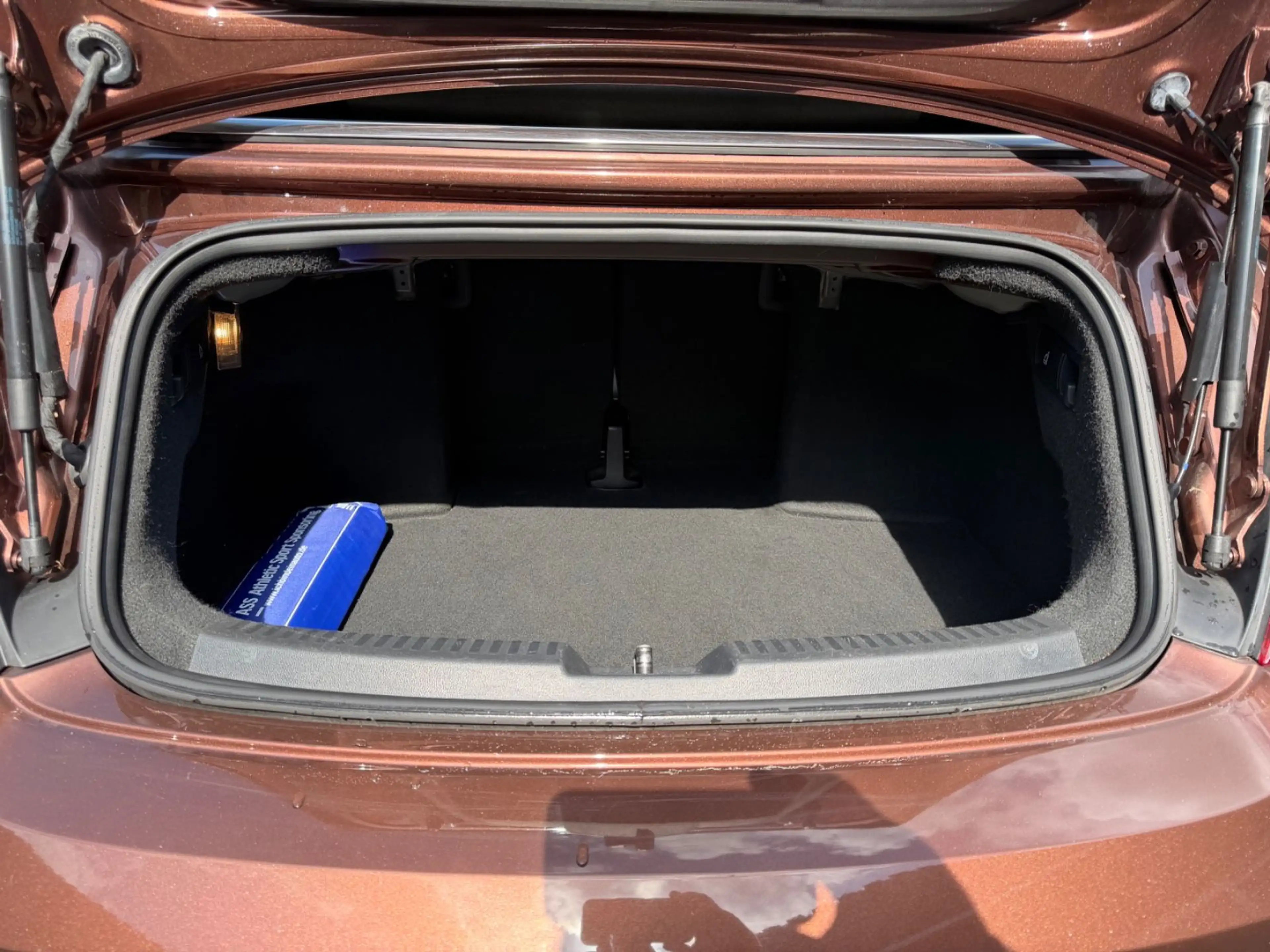 Volkswagen Beetle Cabriolet Allstar — photo 6