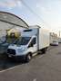 Ford Transit Bianco - thumbnail 5