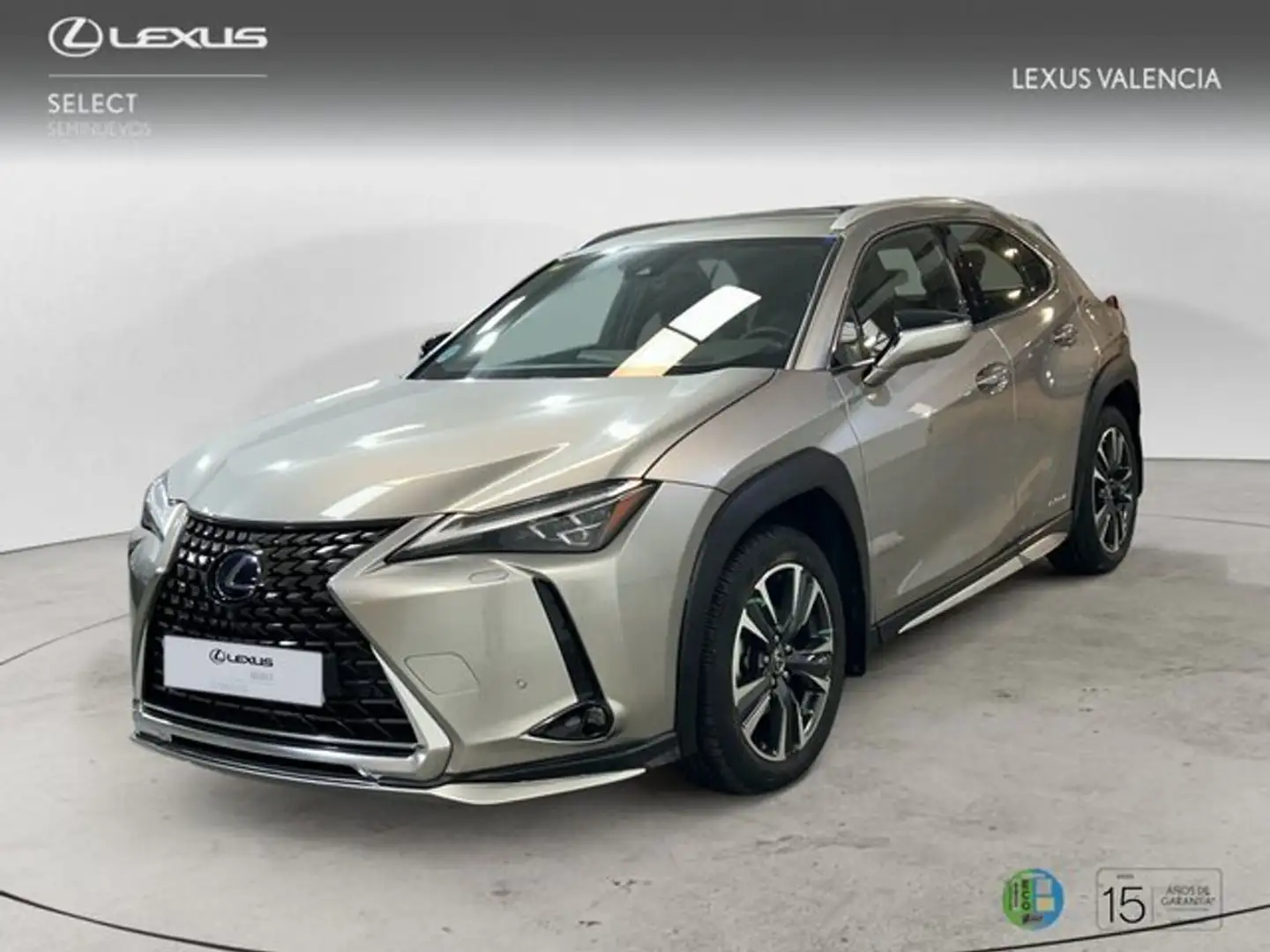 Lexus UX 200 SUV LURY (-4WD) 2.0 Híbrido Gasolina Transmisi Grau - 1