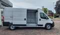Fiat Ducato 2.2 MultiJet 140 L3H2 3.5 MAXI TREKHAAK Wit - thumbnail 3