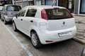 Fiat Punto Punto 1.3 MJT II 75 CV 5 porte Lounge bijela - thumbnail 7