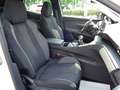 Peugeot 3008 PureTech 130 Stop & Start GPF Active Pack Weiß - thumbnail 10