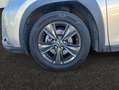 Lexus UX 250h 2.0 Business Gris - thumbnail 22