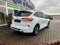 Ford Kuga ST-Line AHK Kamera Navi Standheizung Blanc - thumbnail 4