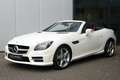 Mercedes-Benz SLK 200 / AMG line / Airscarf / Panorama Wit - thumbnail 8