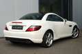 Mercedes-Benz SLK 200 / AMG line / Airscarf / Panorama Wit - thumbnail 6
