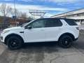 Land Rover Discovery Sport Discovery Sport 2.0 td4 HSE awd 150cv auto Blanc - thumbnail 7