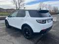 Land Rover Discovery Sport Discovery Sport 2.0 td4 HSE awd 150cv auto Biały - thumbnail 4