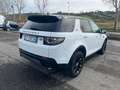 Land Rover Discovery Sport Discovery Sport 2.0 td4 HSE awd 150cv auto Biały - thumbnail 6