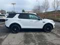 Land Rover Discovery Sport Discovery Sport 2.0 td4 HSE awd 150cv auto bijela - thumbnail 8