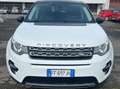 Land Rover Discovery Sport Discovery Sport 2.0 td4 HSE awd 150cv auto Білий - thumbnail 1