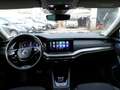 Skoda Octavia BREAK Break 2.0 TDI 150 ch DSG7 Business Blau - thumbnail 14