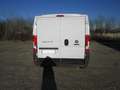 Fiat Ducato 2.3 MJET. 120 CV. L1H1 Blanc - thumbnail 6