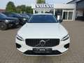 Volvo V60 Plus T6 AWD/AHK/Pano/360°/H&K/Sitzkühlung Weiß - thumbnail 7