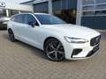 Volvo V60 Plus T6 AWD/AHK/Pano/360°/H&K/Sitzkühlung Weiß - thumbnail 5