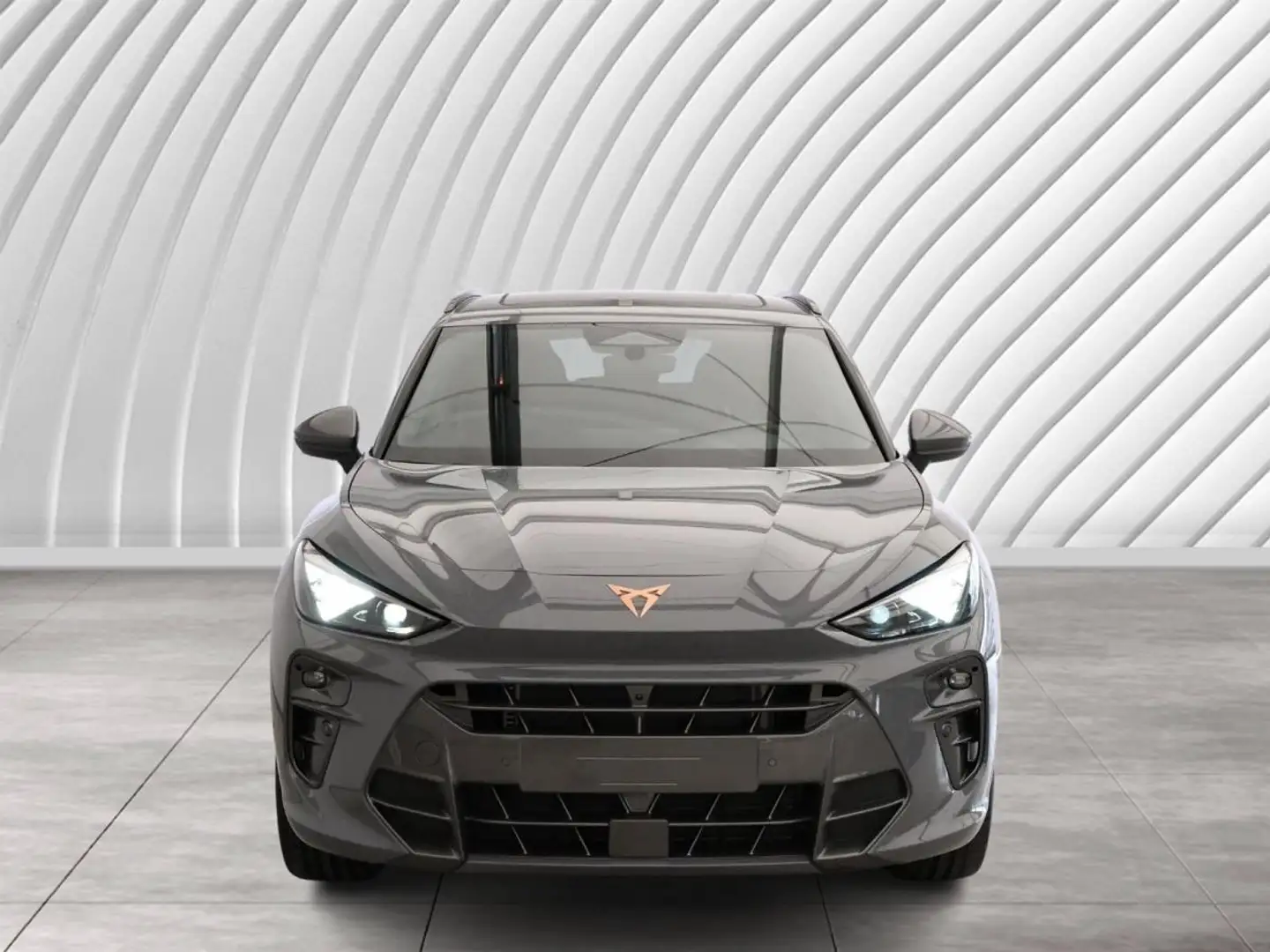 CUPRA Terramar VZ 2.0 TSI 195 kW (265 PS) DSG 4Drive Grau - 2