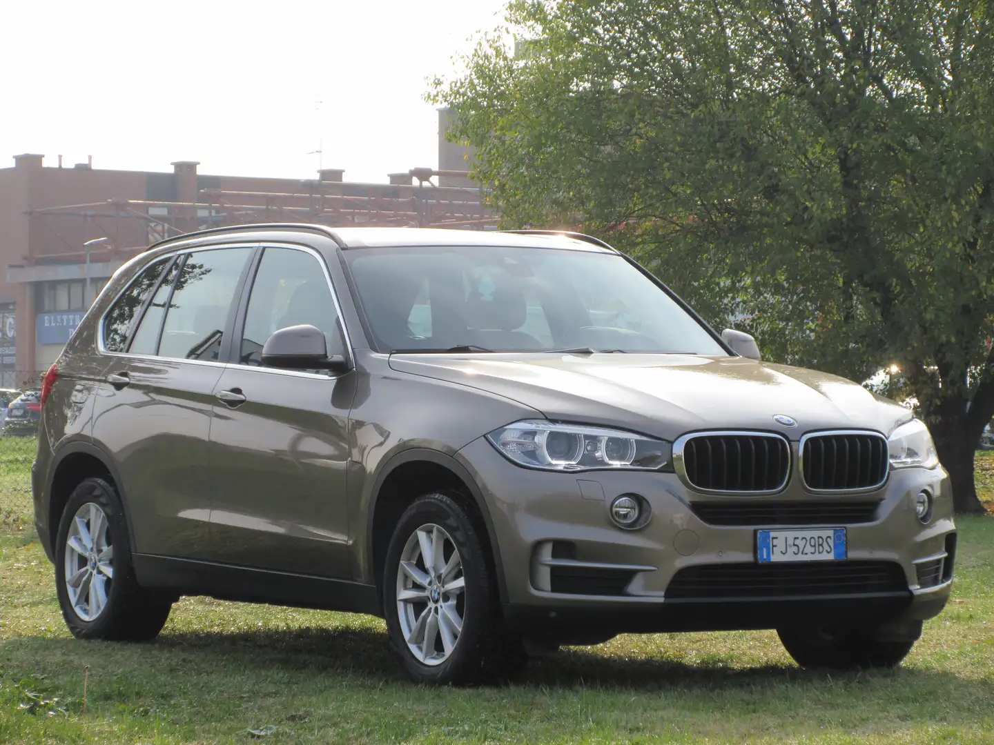 BMW X5 Xdrive25d Business 231cv auto Beige - 2