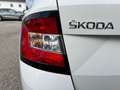 Skoda Fabia Combi Ambition  1,0 TSI | AHK*PDC Wit - thumbnail 33