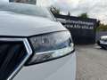 Skoda Fabia Combi Ambition  1,0 TSI | AHK*PDC Wit - thumbnail 30