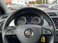 Skoda Fabia Combi Ambition  1,0 TSI | AHK*PDC Wit - thumbnail 15