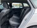 Skoda Fabia Combi Ambition  1,0 TSI | AHK*PDC Wit - thumbnail 13