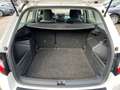 Skoda Fabia Combi Ambition  1,0 TSI | AHK*PDC Wit - thumbnail 14
