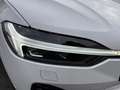 Volvo XC60 T8 AWD Ultimate Dark L. Range Stanh.,360° Weiß - thumbnail 5