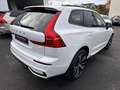 Volvo XC60 T8 AWD Ultimate Dark L. Range Stanh.,360° Weiß - thumbnail 7